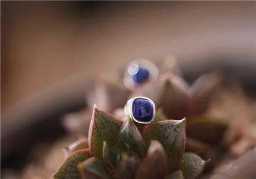Lapis Lazuli Stud Earrings in Sterling Silver Jewelry Accessories Gifts For Women